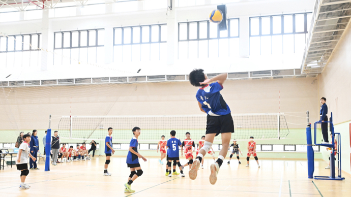 球星任意球精准送助攻